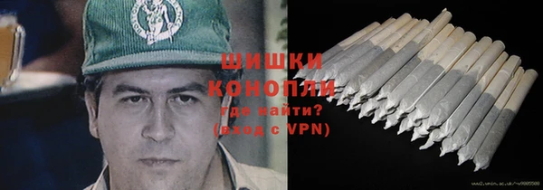 индика Покров