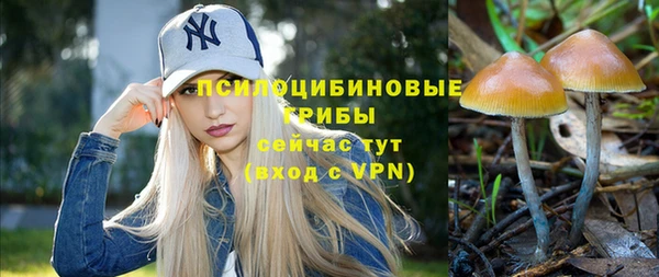 герыч Алзамай