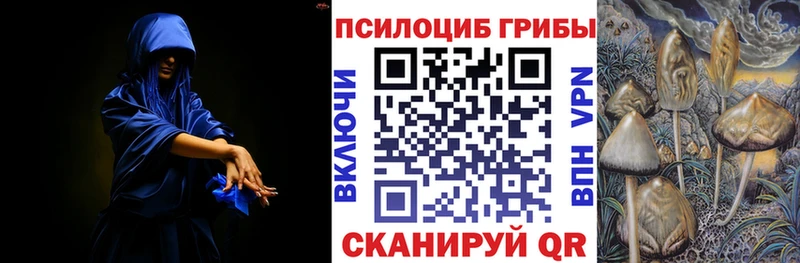 Галлюциногенные грибы Magic Shrooms  цена наркотик  маркетплейс телеграм  Шатура 